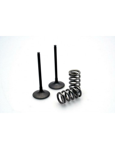 Kit conversion de soupapes d'échappement PROX acier - KTM