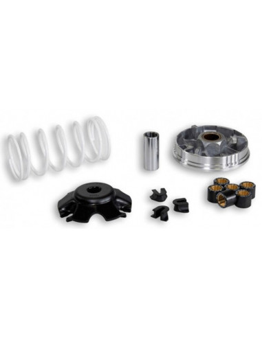 Variateur MALOSSI Multivar 2000 - Honda