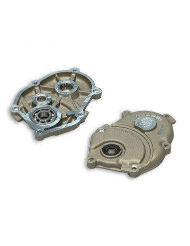 Carter de variateur MALOSSI MHR Team  YAMAHA-MINARELLI