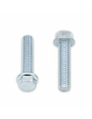 Vis à bride BOLT tête hexagonale 8mm M6x1x25mm 10 pièces
