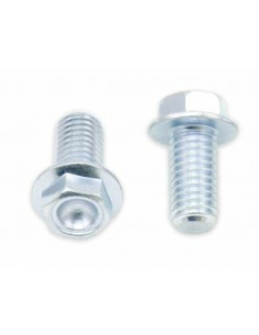 Vis à bride BOLT tête hexagonale 10mm M8x1,25x16mm 10 pièces