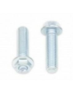 Vis à bride BOLT tête hexagonale 10mm M8x1,25x30mm 10 pièces