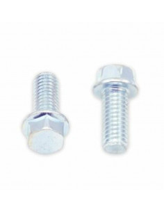 Vis à bride BOLT tête hexagonale 8mm M6x1x14mm 10 pièces