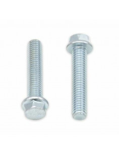 Vis à bride BOLT tête hexagonale 8mm M6x1x30mm 10 pièces