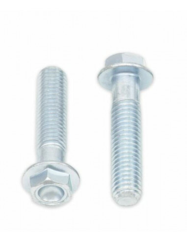 Vis à bride BOLT tête hexagonale 10mm M8x1,25x35mm 10 pièces