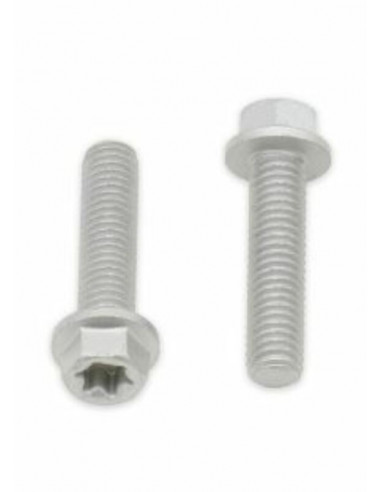 Vis tête hexagonale/Torx BOLT M6x1x25mm 10 pièces