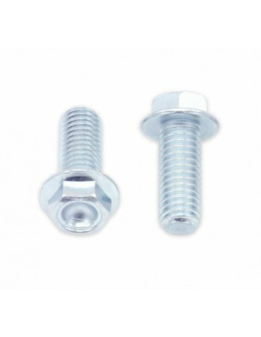 Vis à bride BOLT tête hexagonale 10mm M8x1,25x20mm 10 pièces