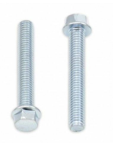 Vis à bride BOLT tête hexagonale 8mm M6x1x40mm 10 pièces