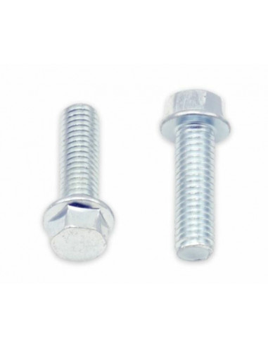Vis à bride BOLT tête hexagonale 8mm M6x1x20mm 10 pièces
