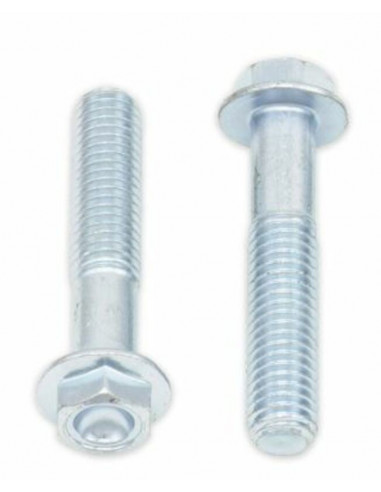 Vis à bride BOLT tête hexagonale 10mm M8x1,25x40mm 10 pièces