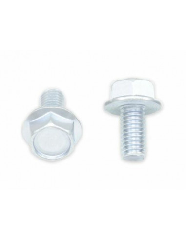Vis à bride BOLT tête hexagonale 10mm M6x1x12mm 10 pièces