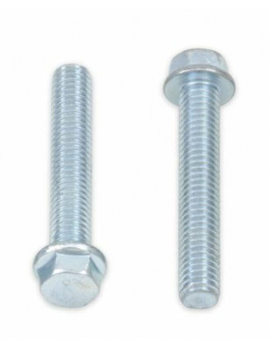 Vis à bride BOLT tête hexagonale 8mm M6x1x35mm 10 pièces