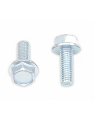 Vis à bride BOLT tête hexagonale 10mm M6x1x16mm 10 pièces