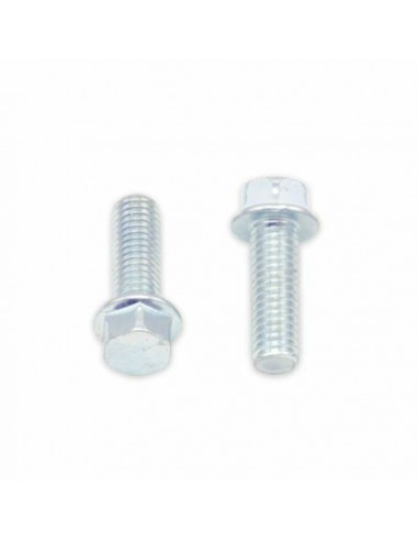 Vis à bride BOLT tête hexagonale 8mm M6x1x18mm 10 pièces