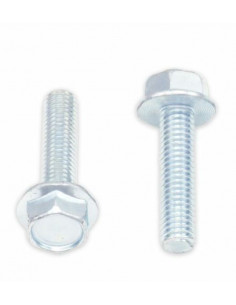 Vis à bride BOLT tête hexagonale 10mm M6x1x25mm 10 pièces