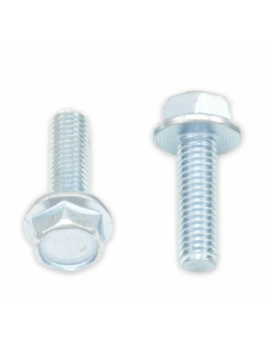 Vis à bride BOLT tête hexagonale 10mm M6x1x20mm 10 pièces