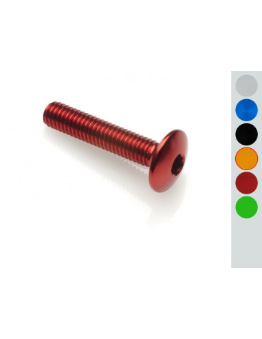 Vis tête bombée LIGHTECH M5 x 15 Ergal or