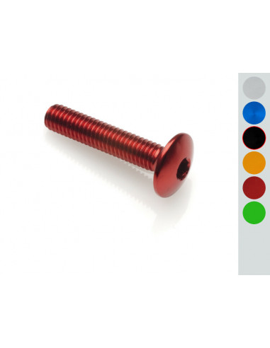 Vis tête bombée LIGHTECH M6 x 15 Ergal noir