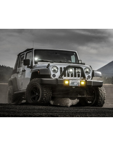 Kit lentilles de feu de brouillard DENALI D3 - ambre ou jaune