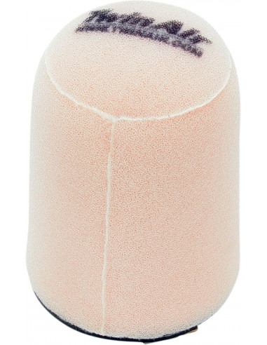 AIR FILTER TWIN AIR CA-AM