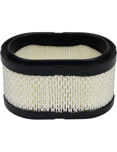 AIR FILTER POLARIS