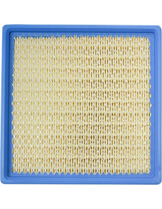 AIR FILTER POLARIS