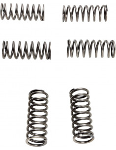 CLUTCH SPRING SET (6 PCS)