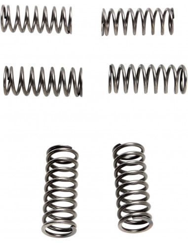 CLUTCH SPRING SET (6 PCS)