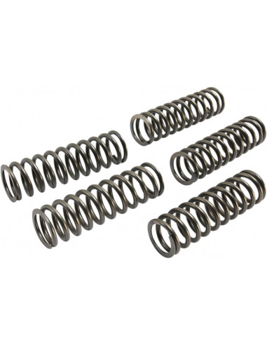 CLUTCH SPRING SET CSK