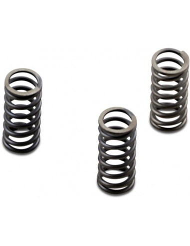 CLUTCH SPRING SET CSK