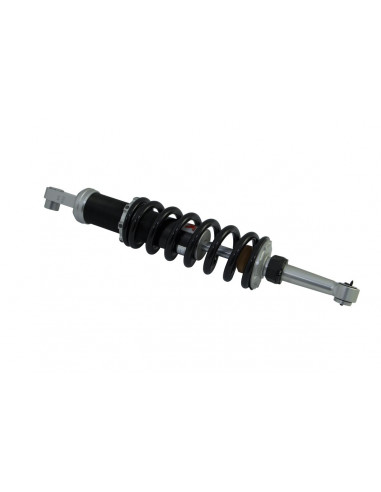 RR SHOCK BMW R PARALEVER
