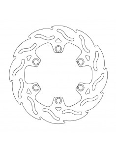 BRAKE DISC FLAME REAR