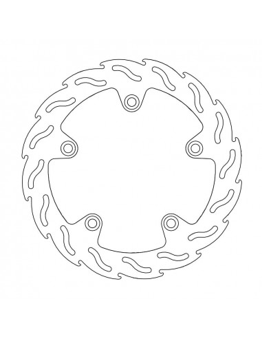 BRAKE DISC FLAME REAR