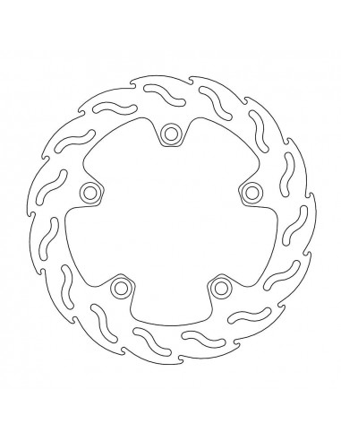 BRAKE DISC FLAME REAR