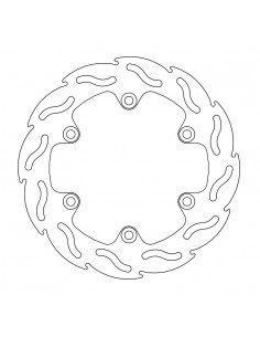 BRAKE DISC FLAME REAR
