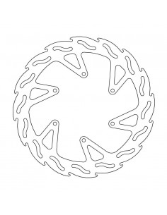 BRAKE DISC FLAME REAR
