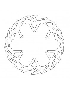BRAKE DISC FLAME FRONT