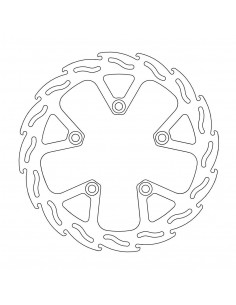 BRAKE DISC FLAME REAR