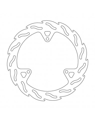 BRAKE DISC FLAME REAR