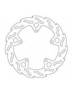 BRAKE DISC FLAME REAR