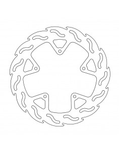 BRAKE DISC FLAME REAR