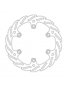 BRAKE DISC FLAME REAR