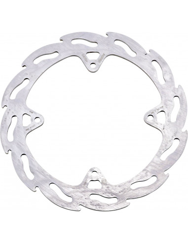 BRAKE DISC FLAME REAR