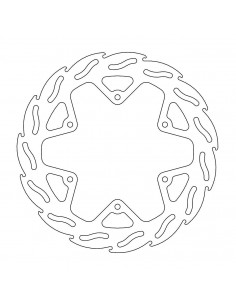 BRAKE DISC FLAME REAR