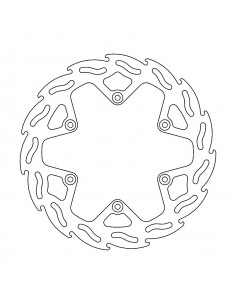 BRAKE DISC FLAME REAR