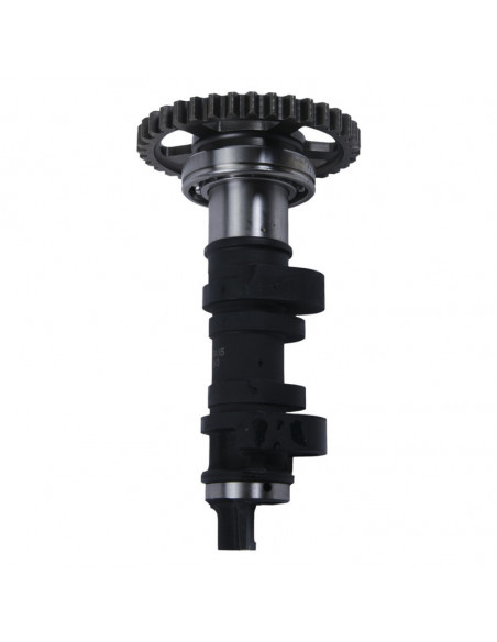 Arbre à cames simple HOT CAMS - niveau 2