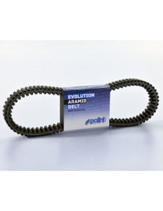 Courroie de variateur POLINI 2