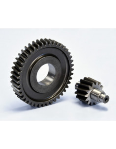 Engrenages POLINI IGET Euro 5 Z14-43 2