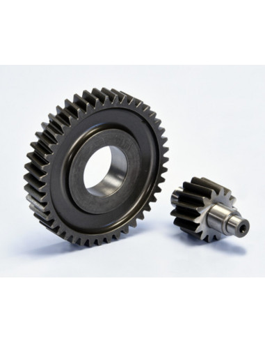 Engrenages POLINI IGET Euro 5 Z14-43