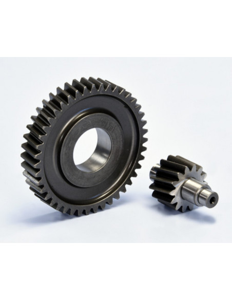 Engrenages POLINI IGET Euro 5 Z14-43
